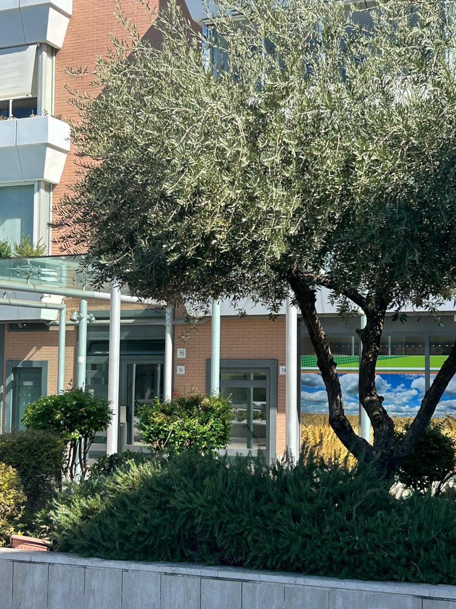 Dina Suite רומא מראה חיצוני תמונה